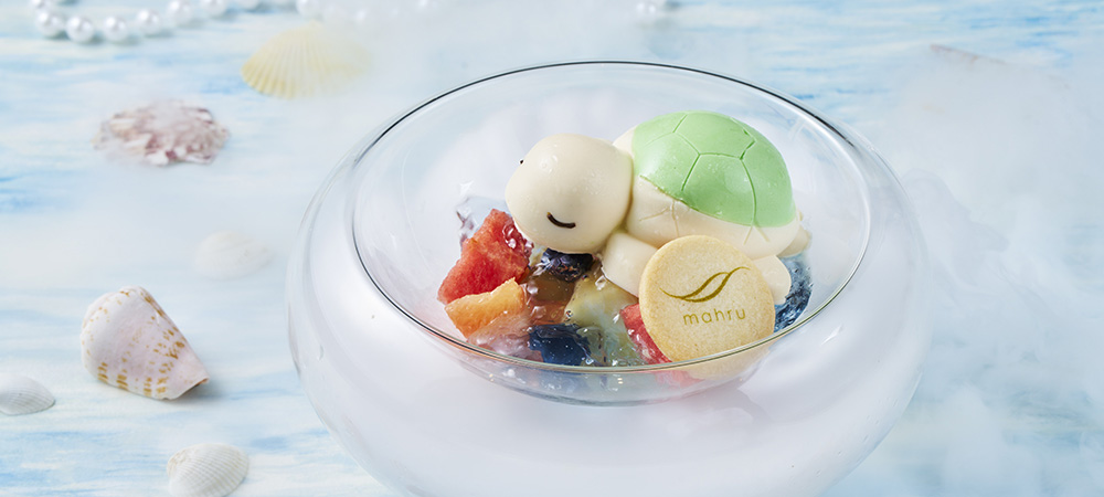 エメラルドラグーン～幸せを運ぶカメの休息～