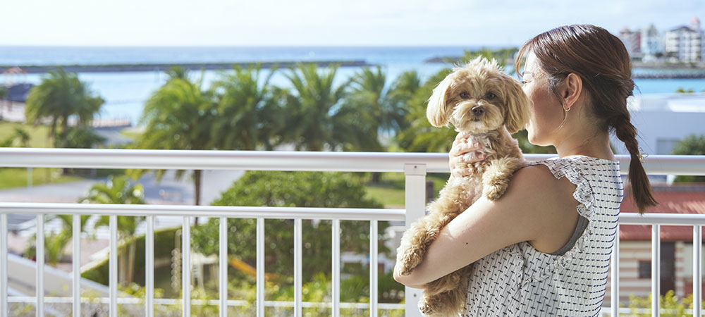 Dog-Friendly Room Package